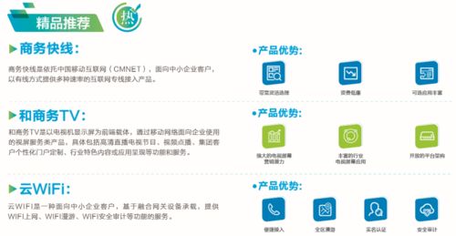 企业宽带 致富纽带，极速连接网络技术服务